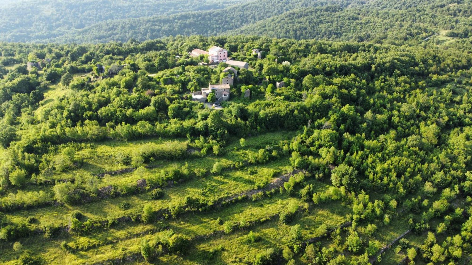 Вилла Casa Del Conte - Peaceful Hideaway In North Istria Грожнян Экстерьер фото
